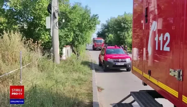 Incendiu de proporții în Mogoșoaia, la o hală