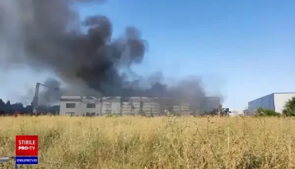 Incendiu de proporții la o hală din Mogoșoaia