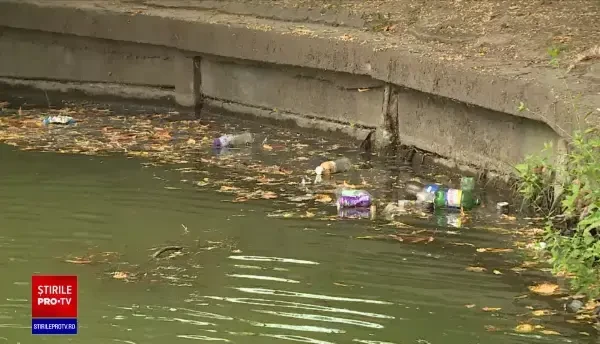 Parcurile din București se sufocă de gunoaie. „Nici flori nu mai sunt, asfaltul e terminat”