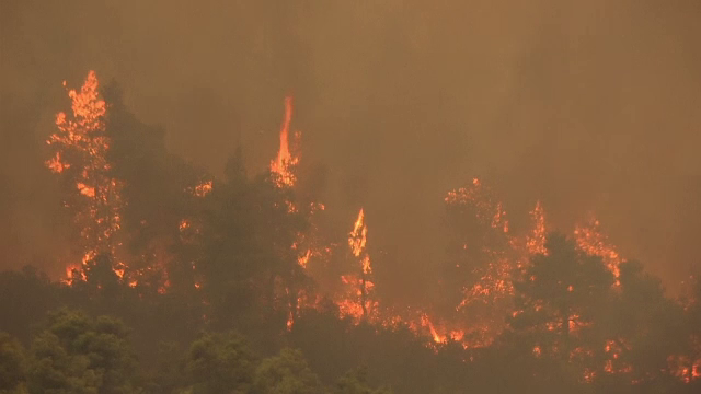 Incendiile de vegetație continuă să facă ravagii în Europa. Mii de pompieri se luptă cu flăcările