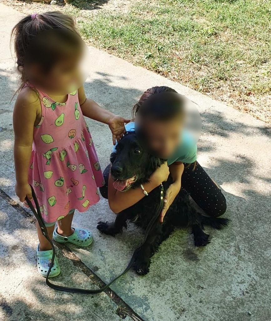 Un câine dispărut a fost găsit, după un an, la 60 de kilometri. Cine l-a dus înapoi familiei din Arad. GALERIE FOTO