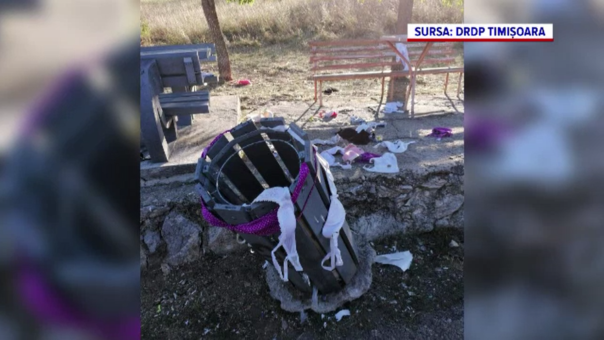 Angajații Direcției de Drumuri și Poduri din vestul țării au găsit zeci de sutiene aruncate în jurul coșurilor de gunoi