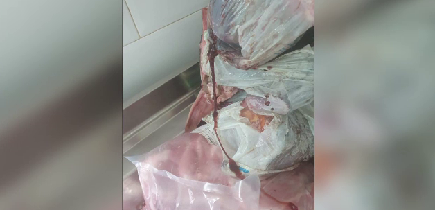 Dezastru în Delta Dunării și pe litoral. Produse expirate de șapte ani, găsite în bucătăria unui hotel