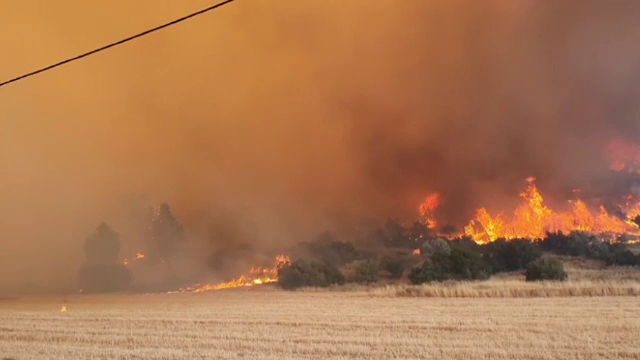 Incendiile continuă să mistuie Grecia. ”Nu ştim ce ne va aduce ziua de mâine. Suntem cu toţii disperaţi”