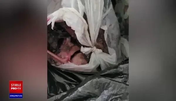 Produse expirate de ani de zile și alimente depozitate în condiții improprii, descoperite de ANPC în Delta Dunării