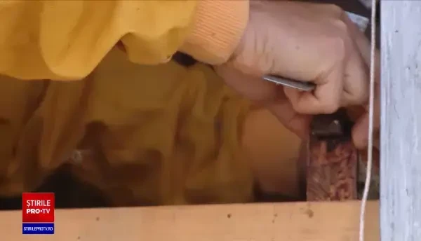 România ocupă un loc fruntaș la numărul de stupi cu albine din UE. Cât costă un borcan de miere polifloră