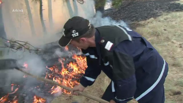 Incendii de vegetație în România. Unele ar fi fost provocate de țigări aruncate la întâmplare