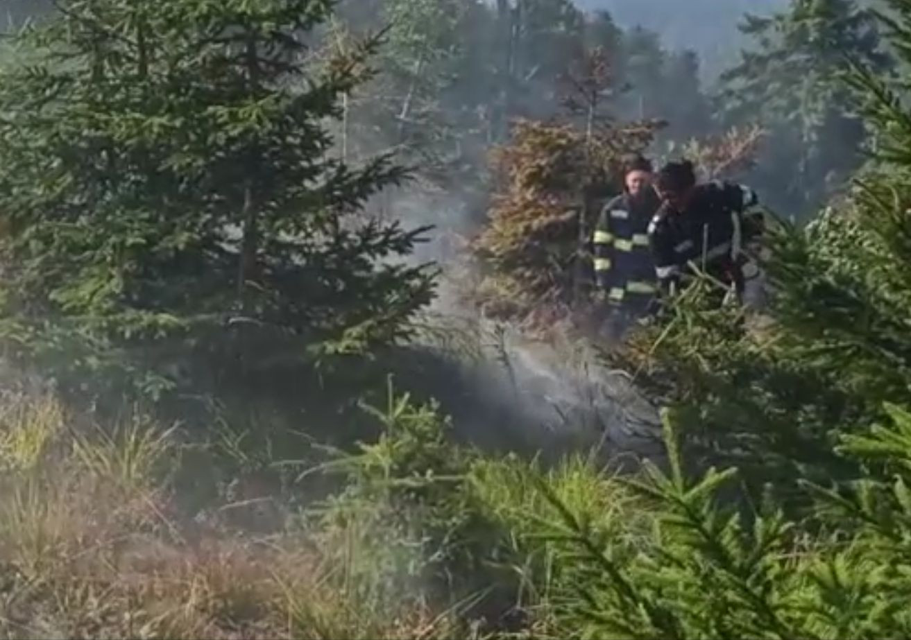 Incendiu de pădure, luni seară, în apropiere de Băile Olănești. Pompierii nu au putut interveni decât spre dimineață