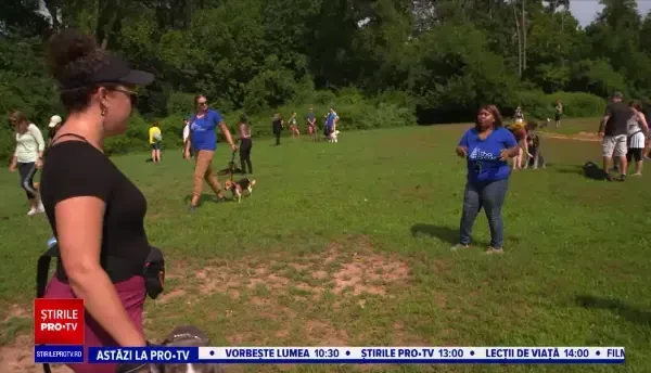 O mulțime de căței au fost adoptați pe timp de pandemie. La ce soluție au apelat stăpânii care se întorc la birou