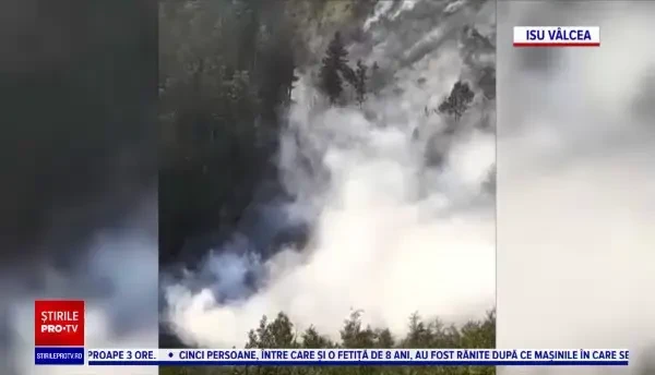 Incendii de vegetație în România. Unele ar fi fost provocate de țigări aruncate la întâmplare