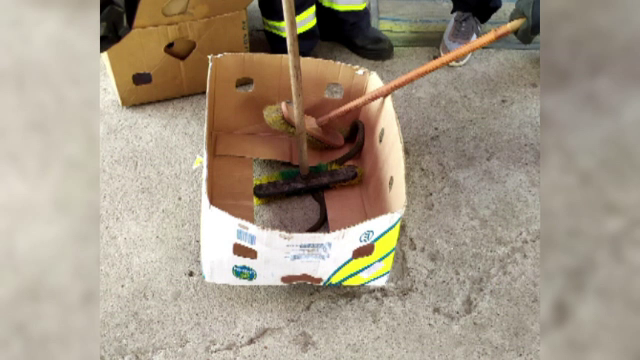 Panică într-un magazin din Neamț. Un șarpe a fost găsit într-o cutie de legume