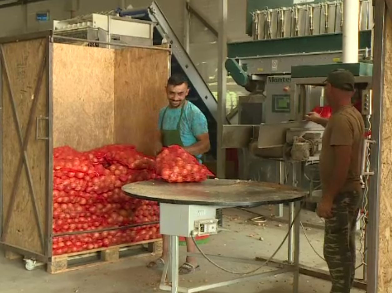 Producție record la cereale, cea mai bună din ultimii 14 ani. Mare parte va merge însă la export