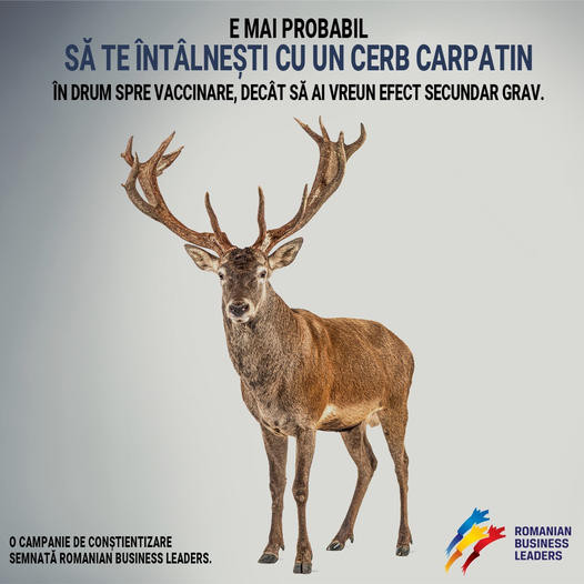 ”E mai probabil să te întâlnești cu un cerb, decât să ai vreun efect advers grav” după vaccinarea Covid