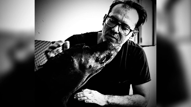 ziua internationala a cainelui