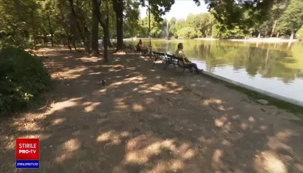 Nicușor Dan l-a demis pe șeful parcurilor din Capitală, nemulțumit de starea spațiilor verzi