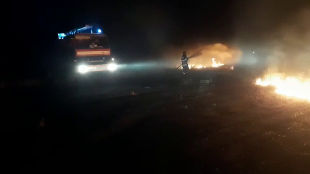 Incendiu de vegetație care amenința casele într-o comună din Argeș, stins cu ajutorul localnicilor