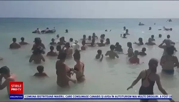 Reacțiile unor copii sărmani din Dâmbovița când au văzut marea pentru prima dată. VIDEO