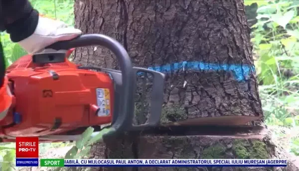 Concursul „Drujba de aur” și-a găsit câștigătorul. Care a fost premiul