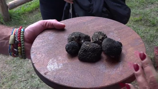 Primul festival culinar din România dedicat trufelor, în Bucovina: ”Pentru prima dată când mănânc. Sunt fenomenale”