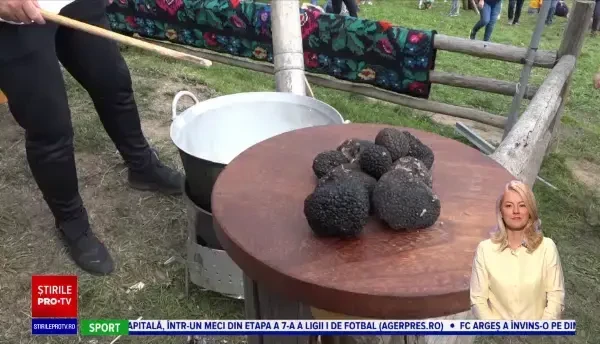 Primul festival culinar din România dedicat trufelor, în Bucovina: ”Pentru prima dată când mănânc. Sunt fenomenale”