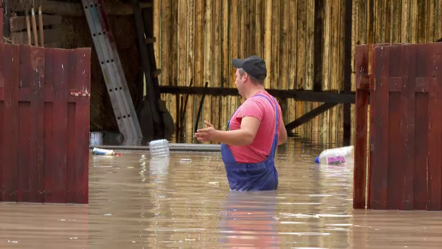 Șuvoaiele au făcut prăpăd în țară. Oamenii au încercat prin apa până la brâu să-și salveze animalele