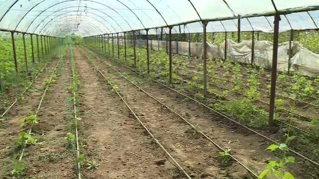 De ce nu se mai înscriu fermierii la programele lansate de Ministerul Agriculturii. „Nu prea merită”