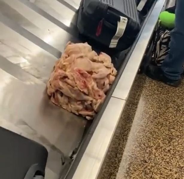 Carne de pui