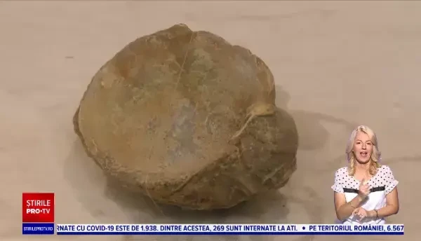 De ce oamenii care mâncau cu linguri de aluminiu erau priviți cu invidie de cei care foloseau linguri de aur, în Rusia