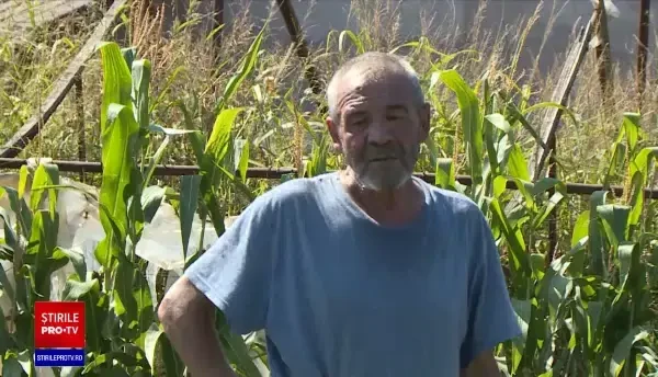 De ce nu se mai înscriu fermierii la programele lansate de Ministerul Agriculturii. „Nu prea merită”