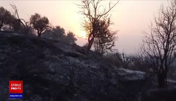 Pompierii români s-au întors acasă, după a doua misiune de stingere a incendiilor din Grecia