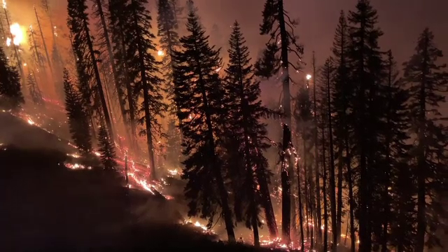 Continuă incendiile de vegetație în Statele Unite. Focar uriaș la granița statelor California și Nevada