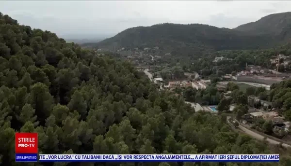 Ce soluție au găsit autoritățile dintr-un sat din estul Spaniei pentru a preveni incendiile de vegetație