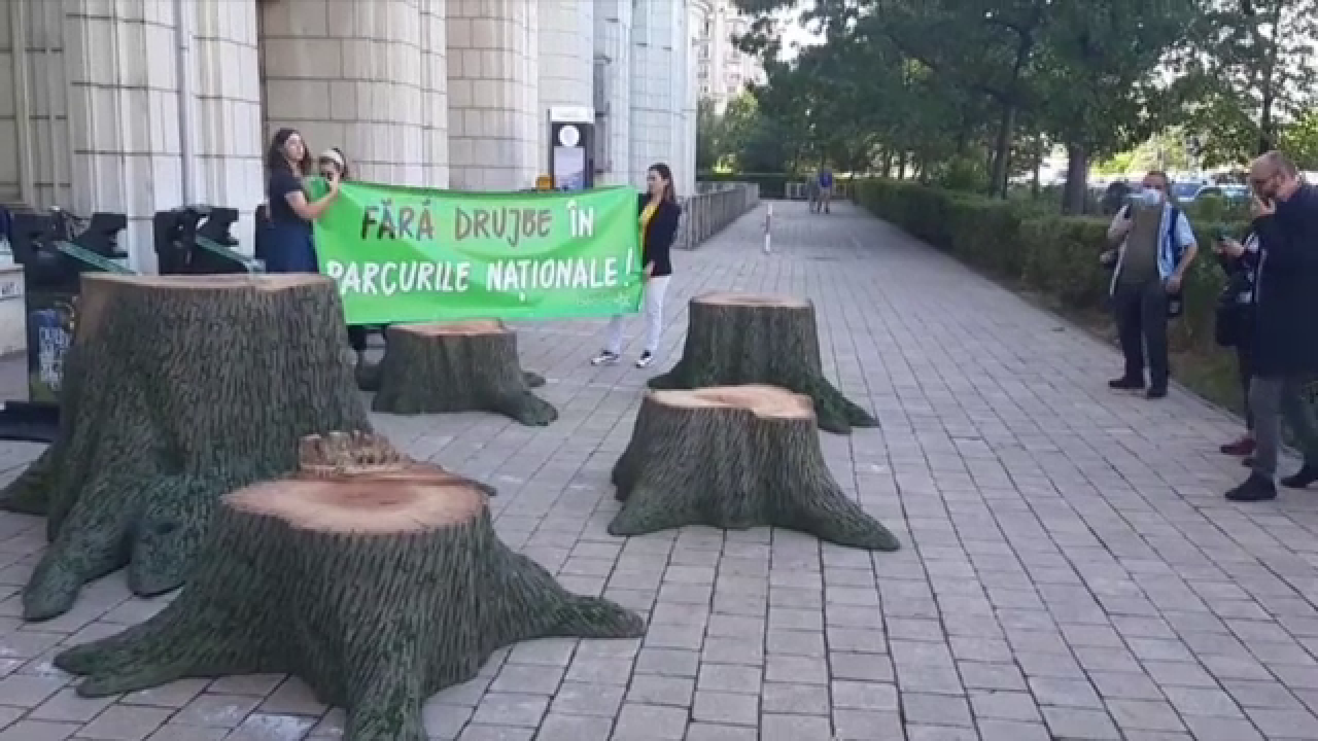 Protest cu drujbe la Ministerul Mediului: Copacii trebuie lăsăți să crească și să moară în treaba lor