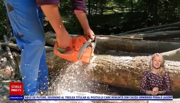 Lemnele de foc nu s-au scumpit. Cât costă un metru cub