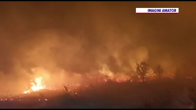 Sute de hectare de vegetație uscată au ars în județul Dolj, din cauza vântului
