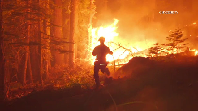 Incendiile de vegetație continuă să facă ravagii în California. Zeci de mii de oameni fug din calea flăcărilor