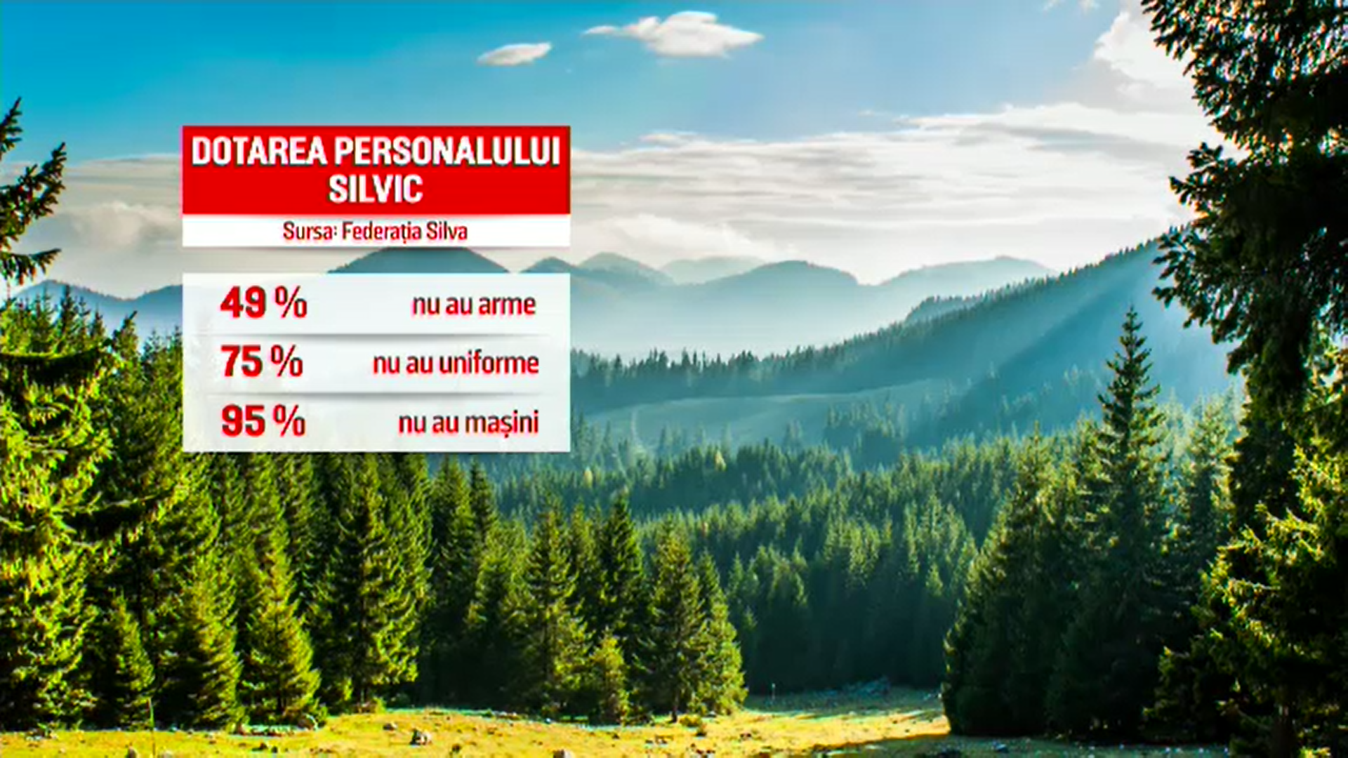 Atacurile asupra pădurarilor s-au înmulțit. Silvicultorii se plâng că trebuie să-i înfrunte pe hoţii cu mâinile goale