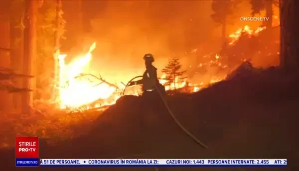 În California, calvarul oamenilor evacuați din calea incendiilor de vegetație pare că nu se mai termină