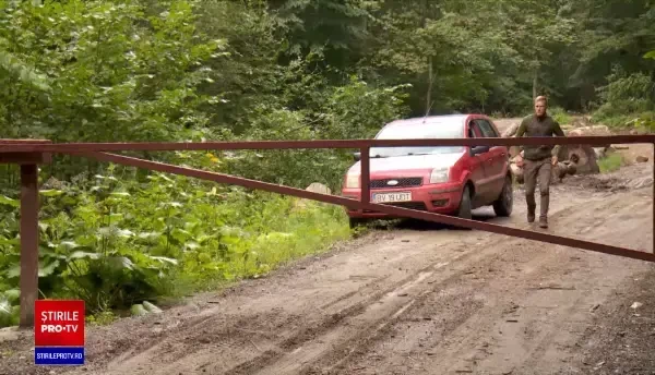 Atacurile asupra pădurarilor s-au înmulțit. Silvicultorii se plâng că trebuie să-i înfrunte pe hoţii cu mâinile goale