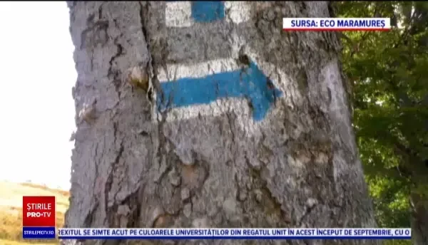 Destinațiile ecoturistice din Maramureș sunt tot mai căutate de turiști. Cât costă un sejur de câteva zile