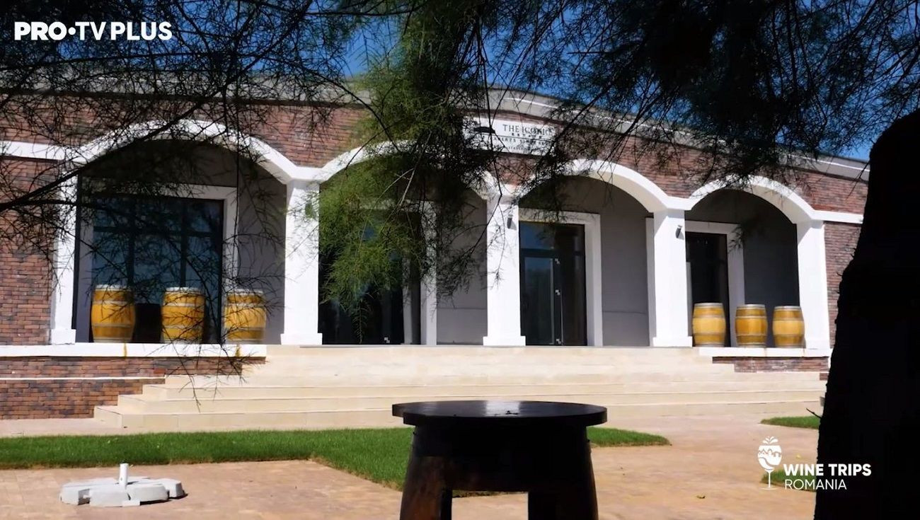 Wine Trips România | Experiențe inedite la crama The Iconic Estate
