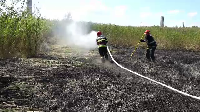 Un incendiu de vegetație a cuprins două hectare de la marginea orașului Baia Mare. Focul a fost stins după câteva ore