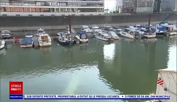 Trotinetele electrice au devenit o problemă gravă de mediu în Germania. Sute de astfel de vehicule au fost aruncate în Rin