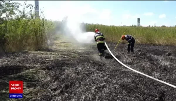 Un incendiu de vegetație a cuprins două hectare de la marginea orașului Baia Mare. Focul a fost stins după câteva ore