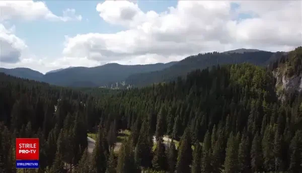 Zona Peștera-Padina din Bucegi, în pericol. Au fost descoperite deșeuri ascunse într-o zonă protejată