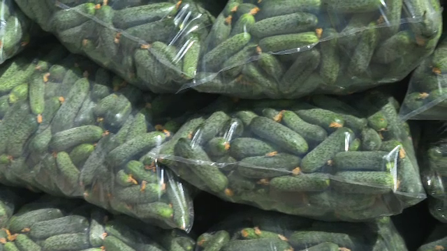 Sezon bun pentru producătorii de castraveți din România. Polonezii, principalii cumpărători