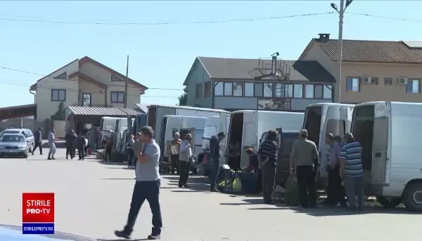 Sezon bun pentru producătorii de castraveți din România. Polonezii, principalii cumpărători