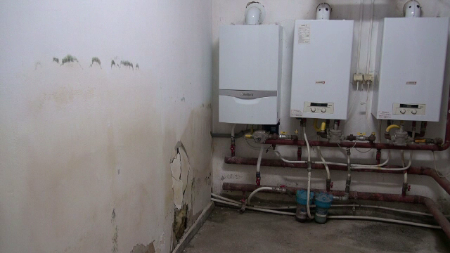 Grădiniță cu pereți plini de mucegai, în Neamț. „Nu pot să bag copilul în casă, că îi miros hainele”