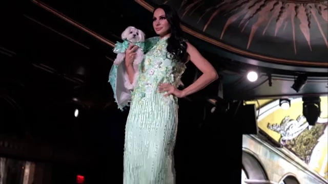 Noile tendinţe în moda canină au fost prezentate la New York. Zeci de căței au defilat alături de manechine