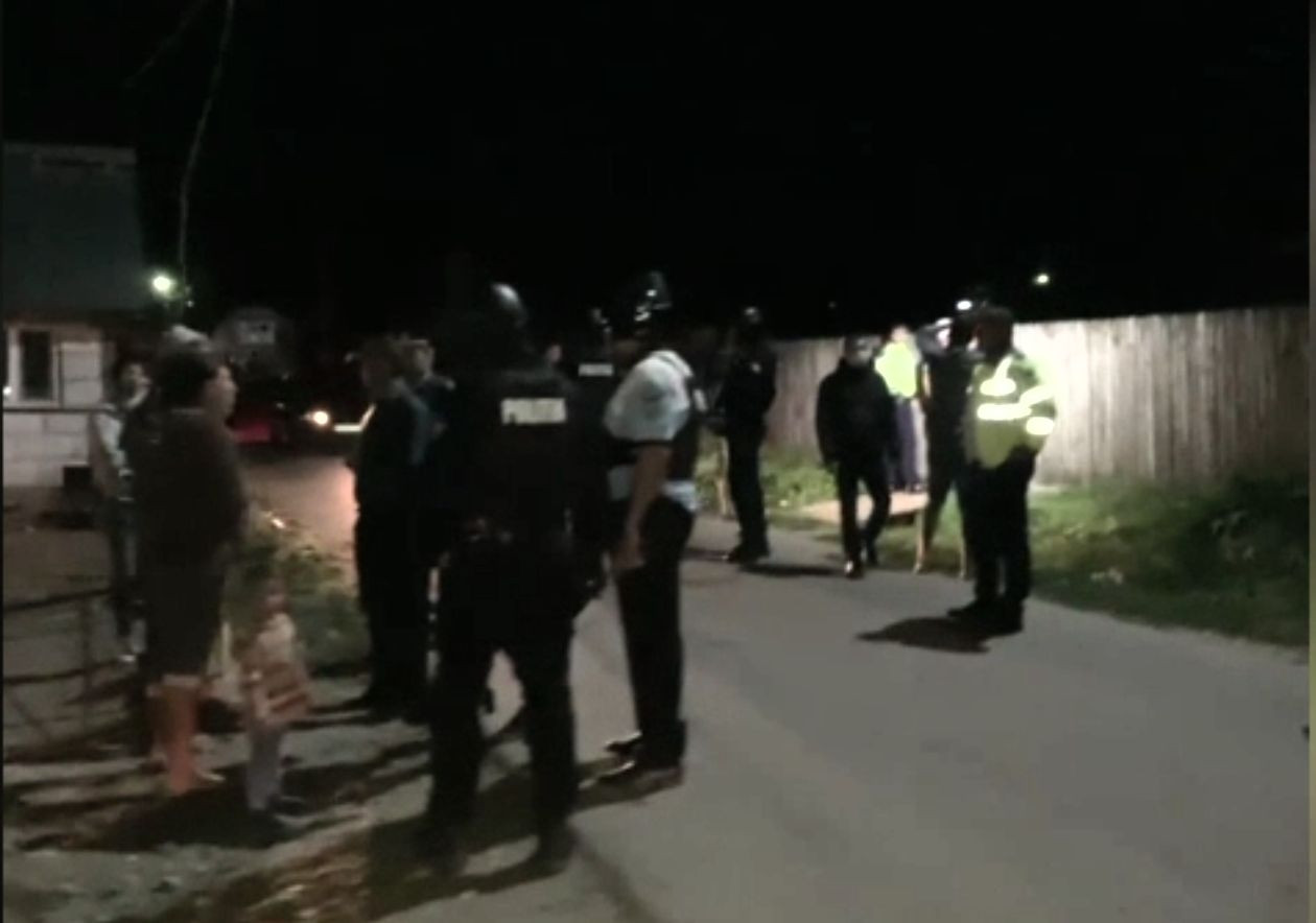Bătaie de proporții în comuna Vlădești, pornită de la încăierarea unor câini. Polițiștii au fost depășiți numeric